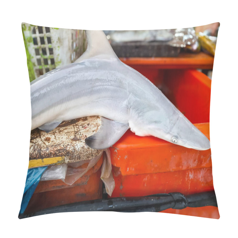 Personality  Close Up Of A Freshly Caught Shark Displayed On A Market Table. Ideal For Fishing Industry, Seafood Markets, Or Marine Life Concepts. Pillow Covers