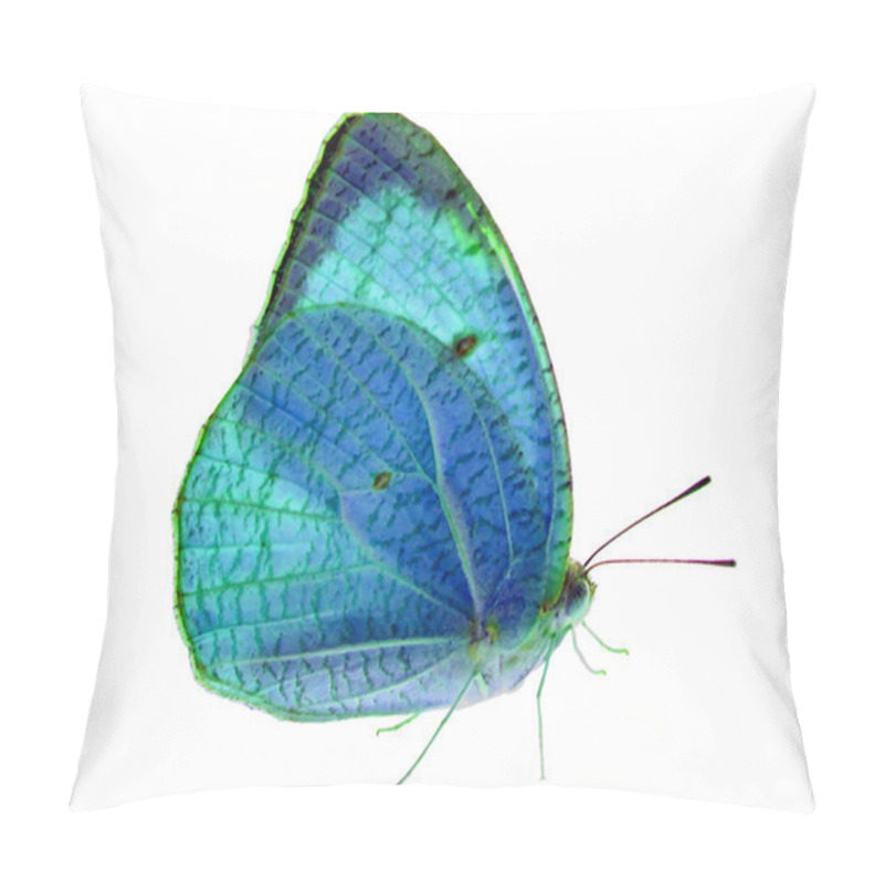 Personality  Butterfly Blue Isolate Pillow Covers