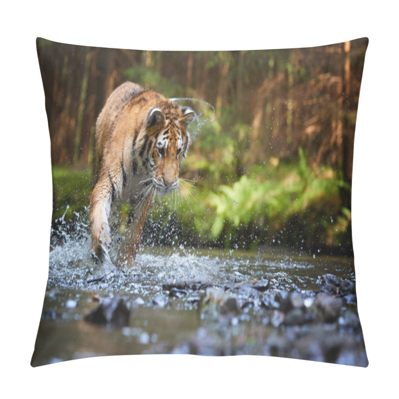 Personality  Young Siberian Tiger, Panthera Tigris Altaica, Walking In A Forest Stream Against Dark Green Spruce Forest. Tiger Among Water Drops In A Typical Taiga Environment. Direct View, Low Angle Photo. Russia Pillow Covers