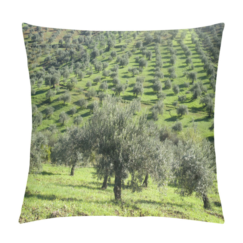 Personality  Plantation Of Olives Pillow Covers