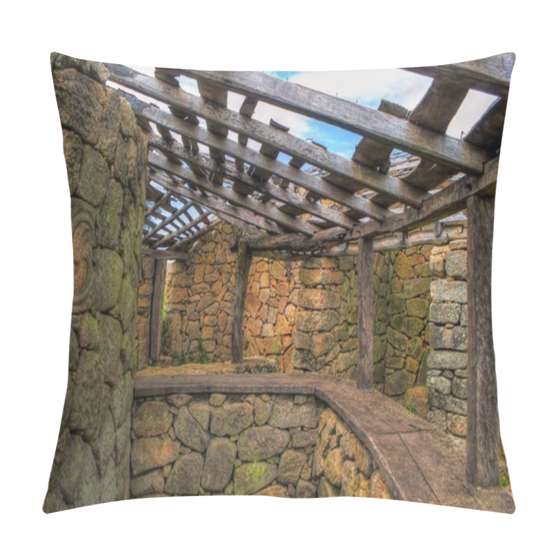 Personality  Proto-historic Settlement In Sanfins De Ferreira Pillow Covers