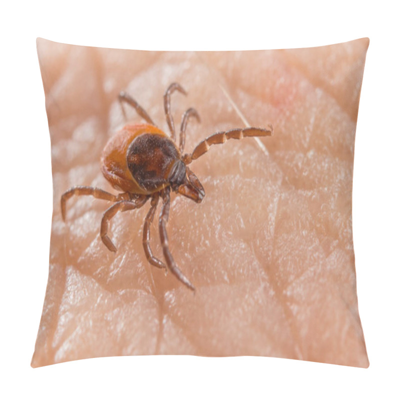 Personality  Close-up Of Deer Tick On Human Skin Detail In Background. Ixodes Ricinus Or Scapularis. Female Parasitic Mite On Textured Epidermis. Carrier Of Infectious Diseases As Encephalitis Or Lyme Borreliosis.  Pillow Covers