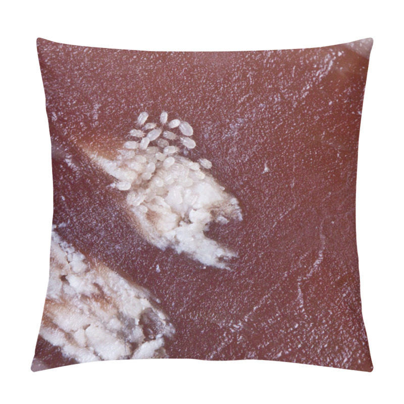 Personality  Ham Mite Pillow Covers