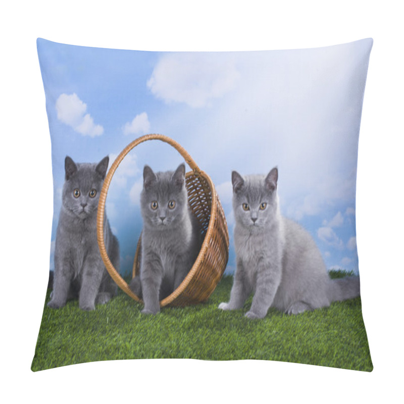 Personality  Kittens Playing In The Grass On A Sunny Summer Day Pillow Covers