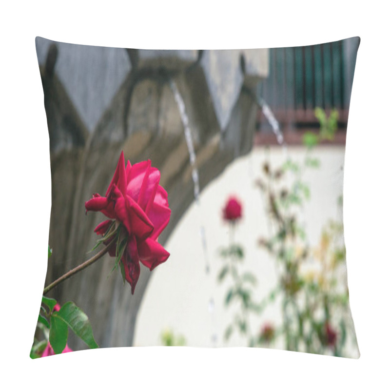 Personality  Rose And Fountain Elements Of Decoration Of The Structure Of The Khansarai Or The Palace Of The Crimean Khans The Palace Complex, Built By The 1st Sahib-Girey In The City Of Bakhchesaray In The Crimea. Pillow Covers