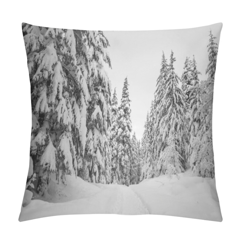 Personality  Snow Covered Frozen Beautiful Gold Creek Pond With Snow Covered Trees And Trail During The Winter In The Alpine Lakes Wilderness In Kittitas County Washington State Pillow Covers