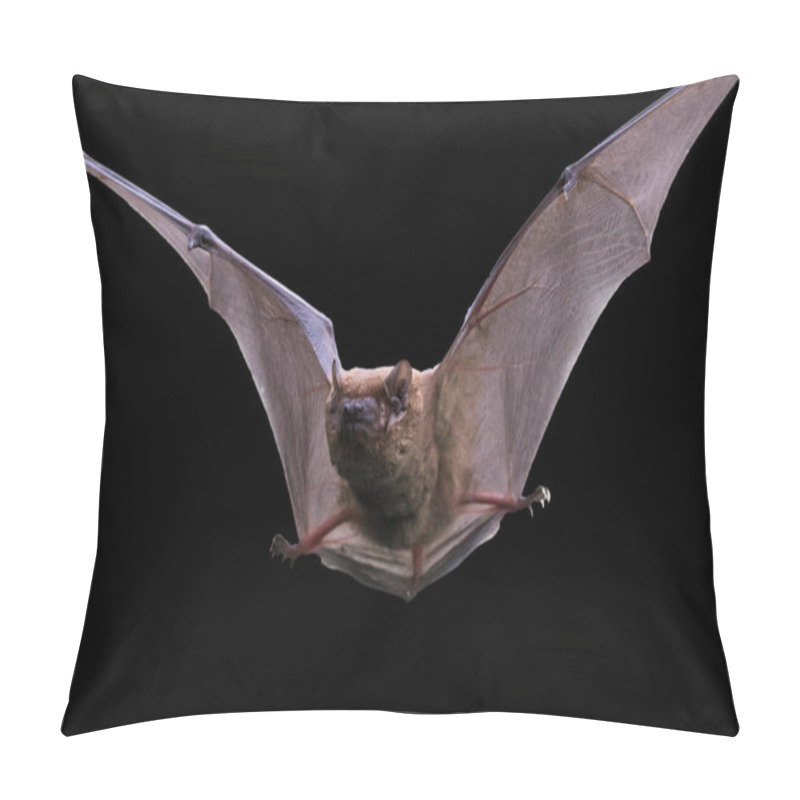 Personality  Bat In Approach Exempted From Black Pillow Covers