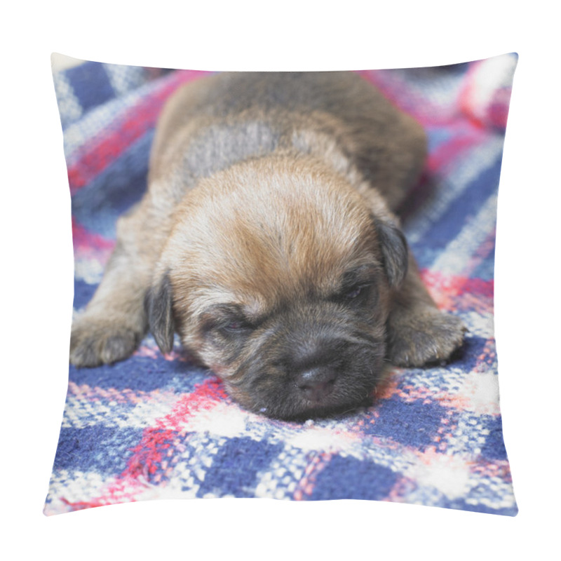 Personality  Sleeping Puppy Pillow Covers