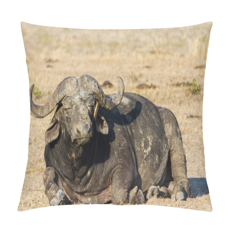 Personality  Tired Cape Buffalo Bull Rolling In Water Pond To Cool Down Pillow Covers