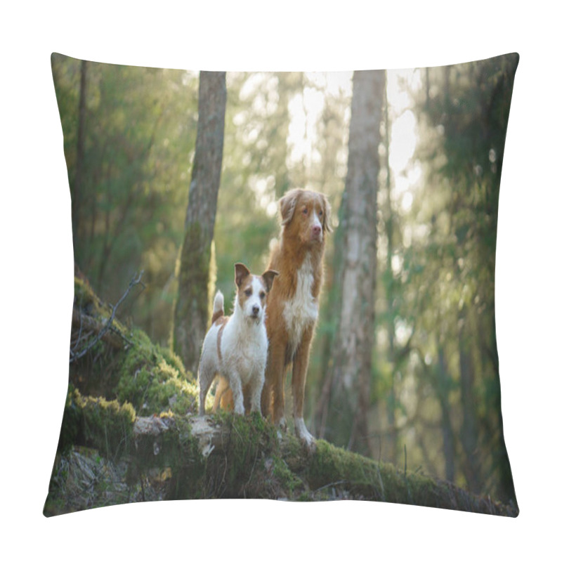 Personality  Two Dogs Together In The Forest. Duck Retriever Jack Russell Terrier In Nature. Pet Friendship Pillow Covers