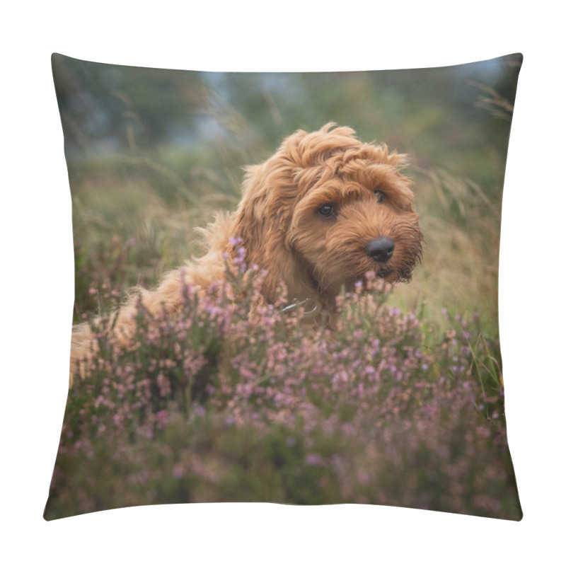 Personality  A Young Red Cockapoo Puppy Enjoying Being Amongst The Heather In A Local Moorland Area Pillow Covers