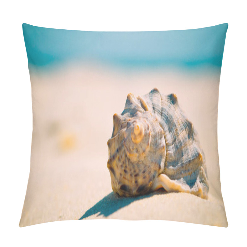 Personality  Sea Shell On A Sandy Beach At Blur Background With Copy Space For Text, Closeup. Pillow Covers