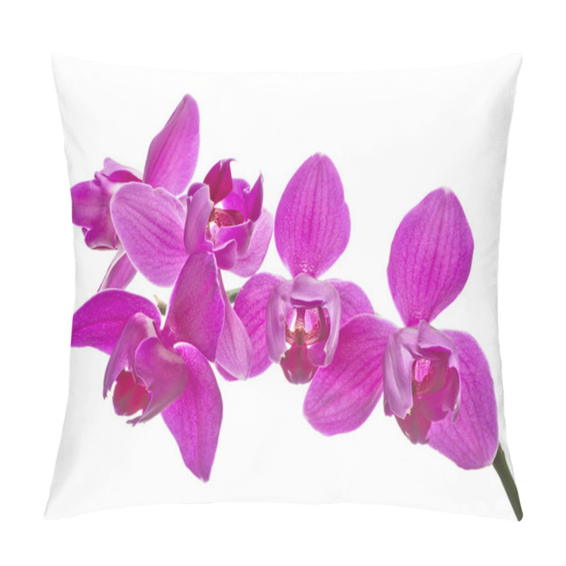 Personality  Three Petals Isolated Pink Orchids Pillow Covers