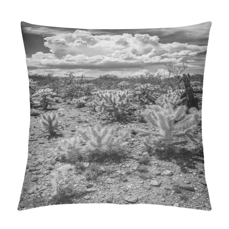 Personality  Wild Cactus In Arizona Desert Pillow Covers