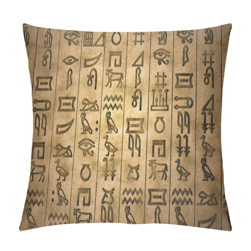 Personality  Hieroglyph. Pillow Covers