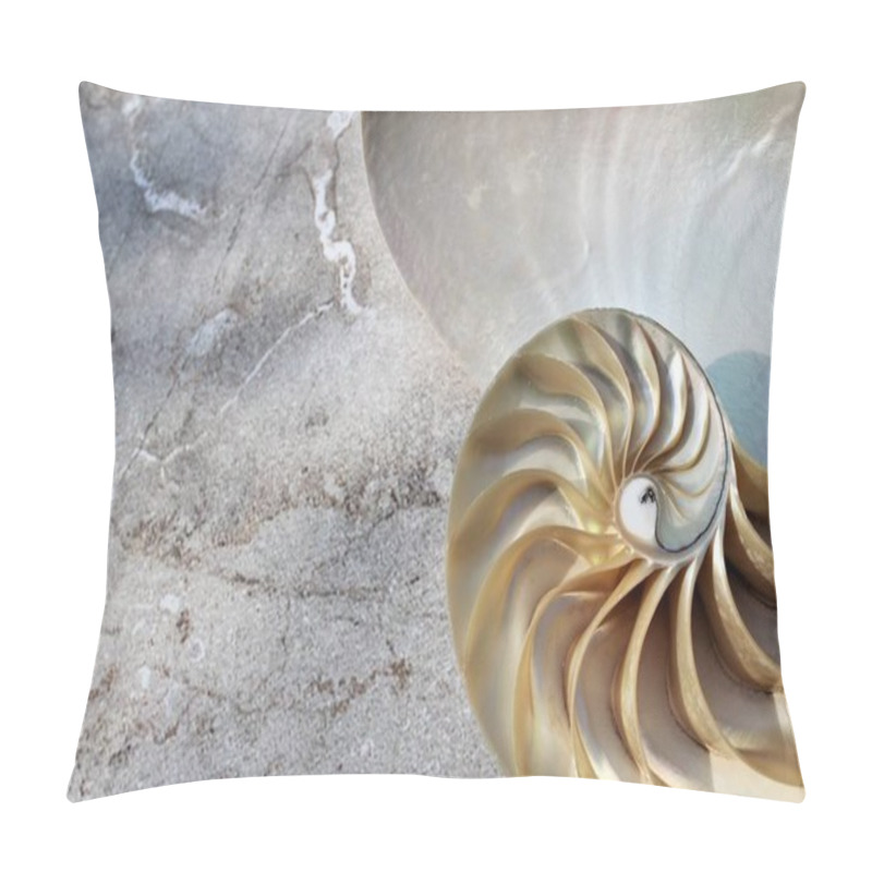 Personality  Shell Nautilus Pearl Fibonacci Sequence Symmetry Cross Section Spiral Shell Structure Golden Ratio Background Nature Pattern Mollusk Shell (nautilus Pompilius) Copy Space Half Split Stock Photo  Pillow Covers