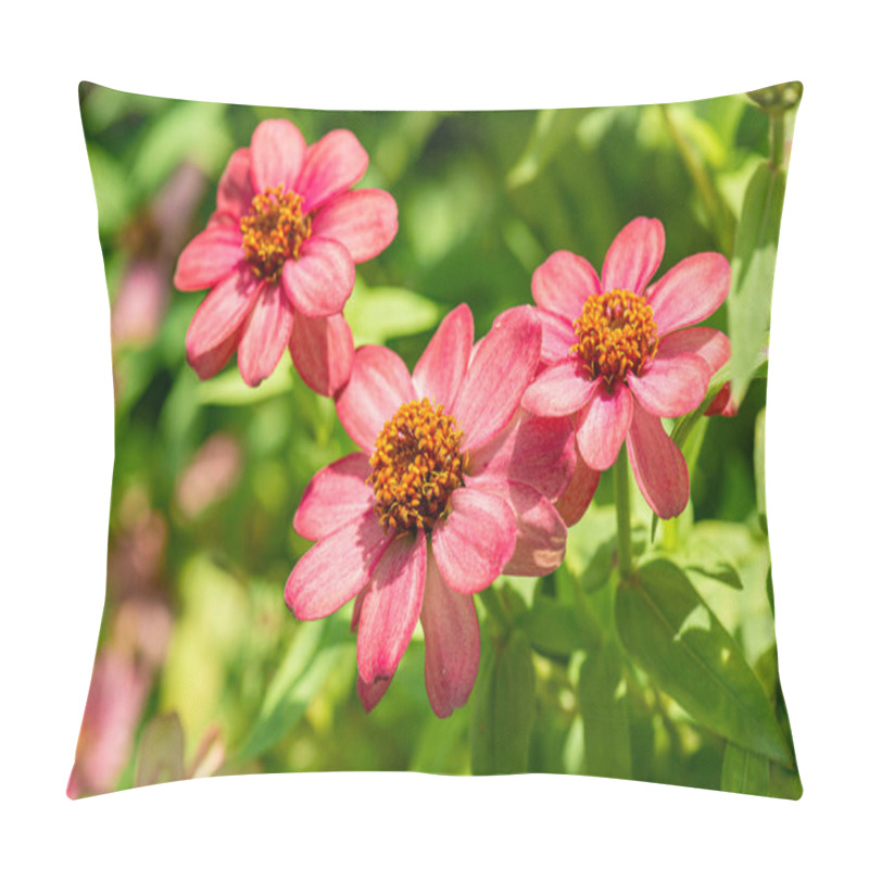 Personality  Zinnia Flower With Natural Background, Thailand. Pillow Covers