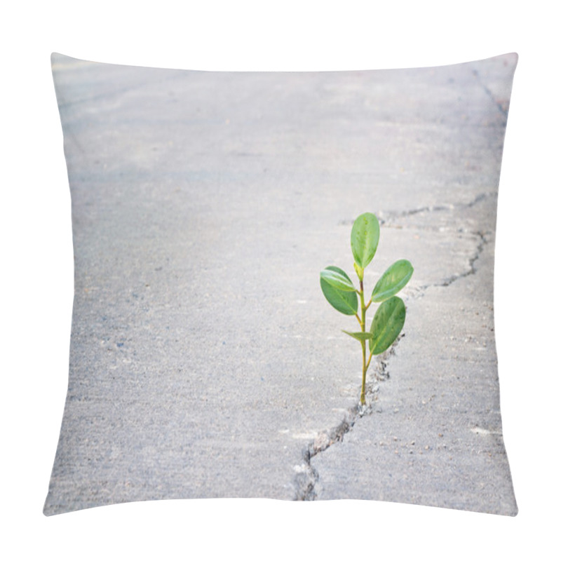 Personality  Young Plant Growing In Crack Street, Hope And Impressive Emotion Pillow Covers