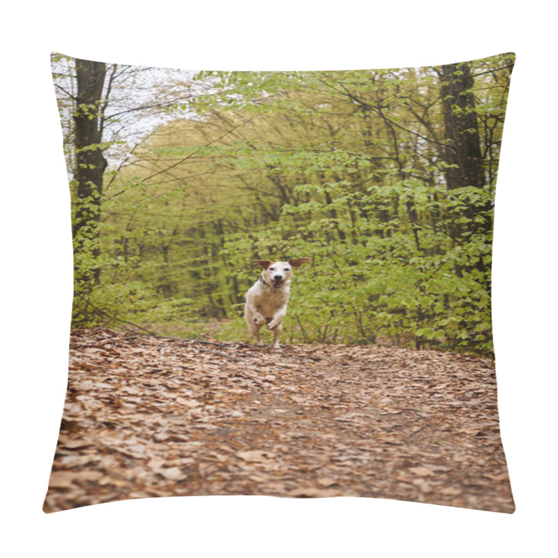 Personality  Image Of Active White Dog Running In Forest. Nature Photo Of Pet Having Fun In Woods With Leaves Pillow Covers