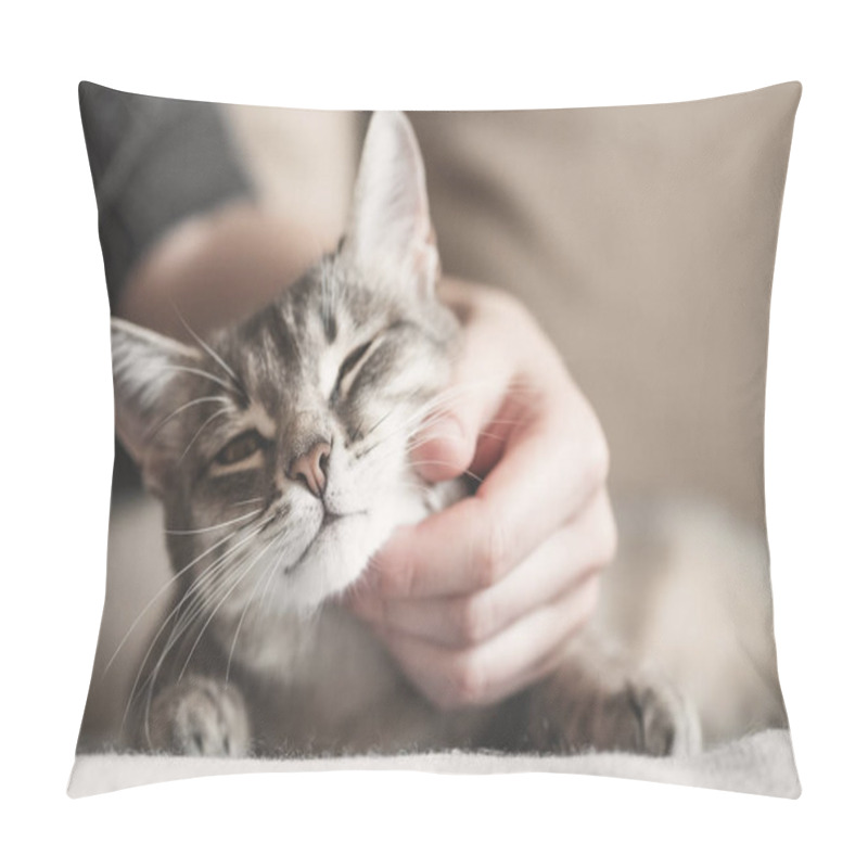 Personality  Cute Gray Cat Playing With Human Hand While Lying On Sofa. Pet And People. Pillow Covers