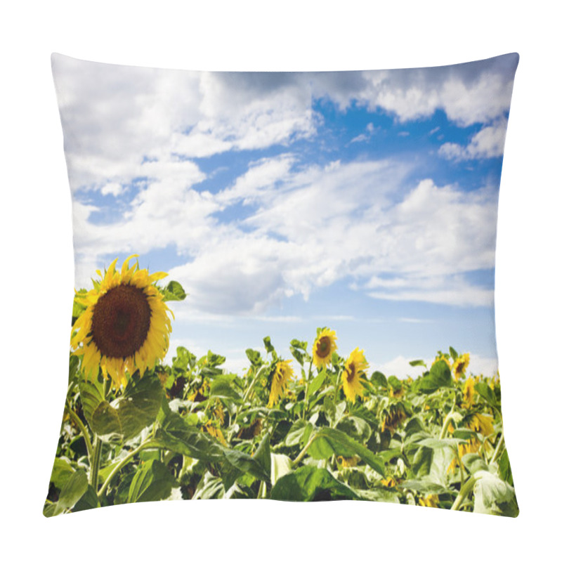 Personality  Sunflowers Pillow Covers