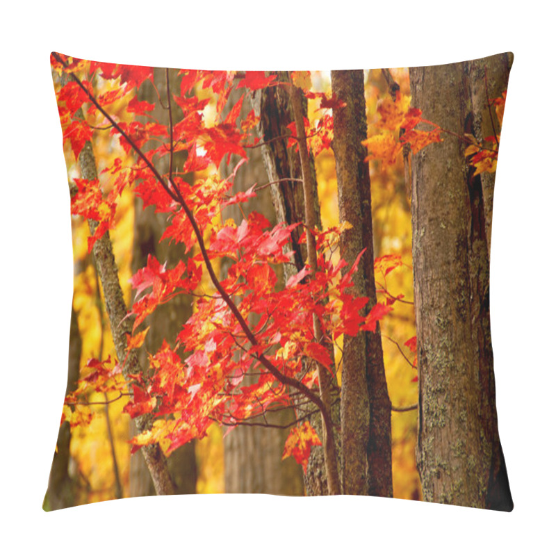 Personality  Fall Forest Background Pillow Covers