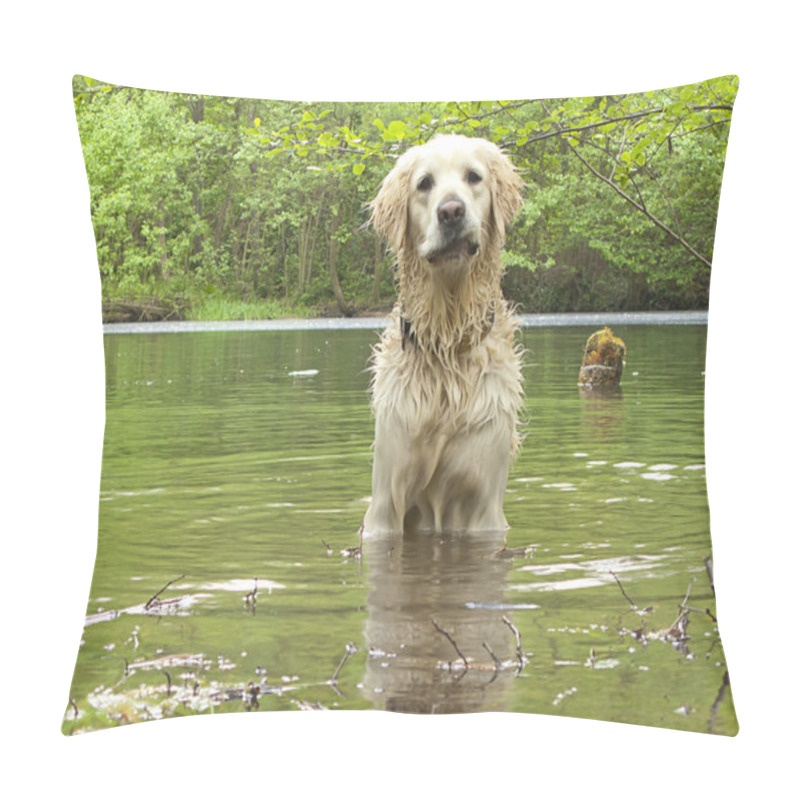 Personality  Golden Retriever Playing In The Water Pillow Covers