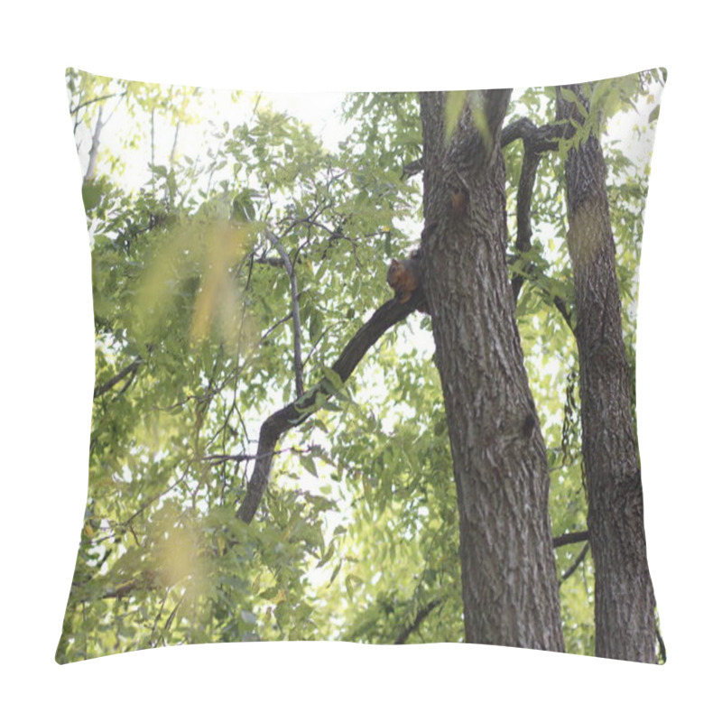 Personality  Vegetation In An Urban Park Pillow Covers