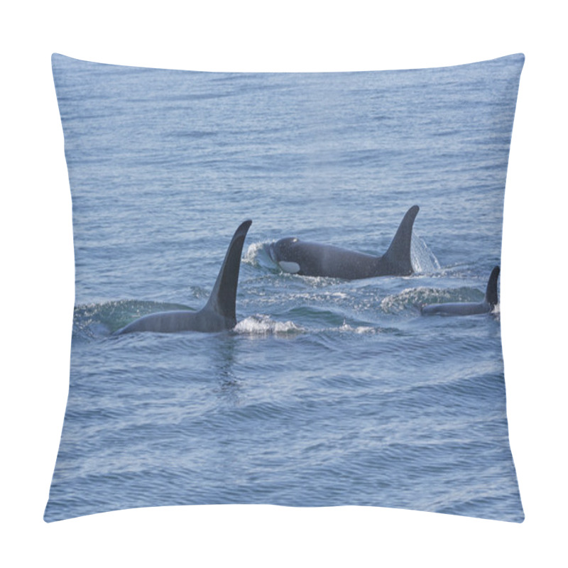 Personality  Orca Family Swimming In The Ocean Pillow Covers