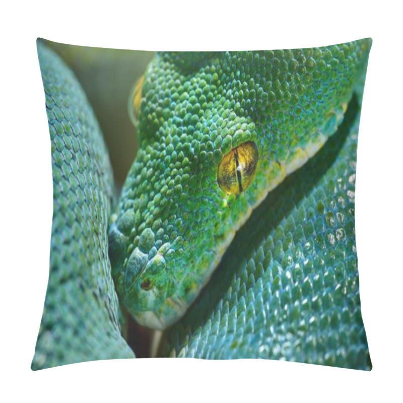 Personality  Green Tree Python Morelia Viridis Close-up. Tallinn Zoo, Estonia. Portrait Art. Environmental Conservation, Wildlife, Zoology, Herpetology Theme Pillow Covers