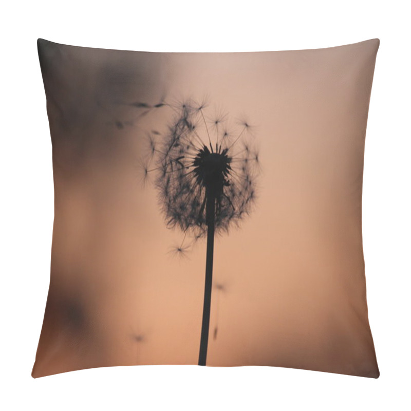 Personality  Blown Dandelion Pillow Covers