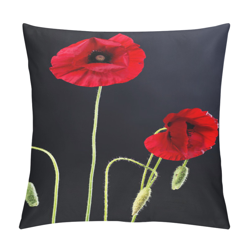 Personality  Poppy Flowers Over Black Pillow Covers