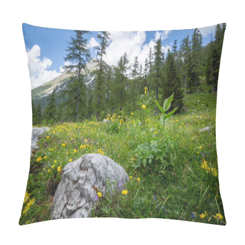 Personality  Zelenica Pasture Above Ljubelj Slovenia Pillow Covers