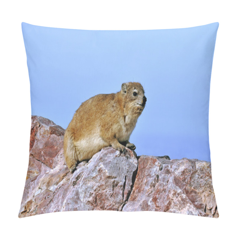 Personality  Rock Hyrax (Dassie) Pillow Covers