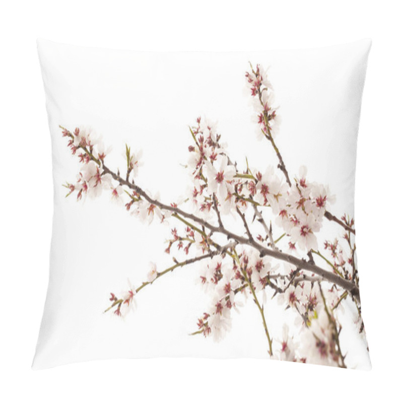 Personality  Horticulture Of Gran Canaria - Almond Blossoms Pillow Covers