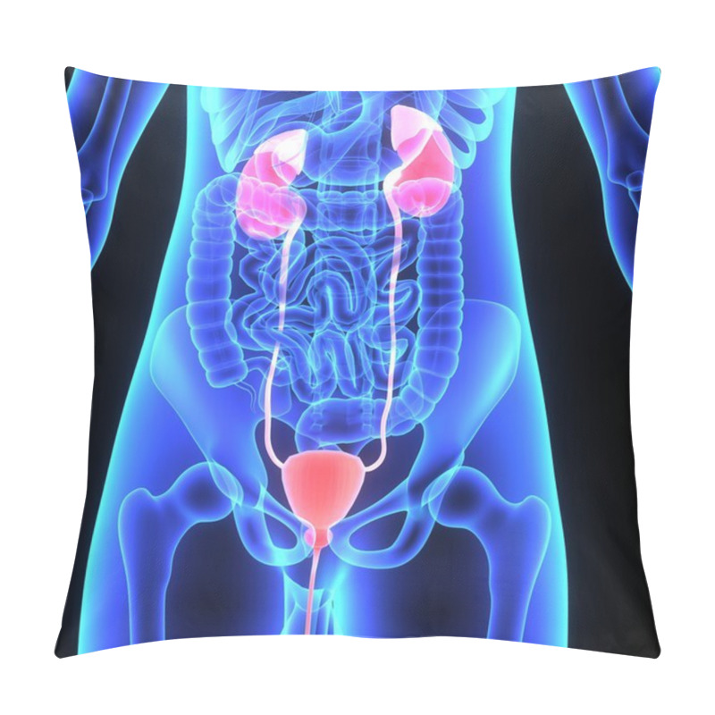 Personality  Kidneys Pillow Covers