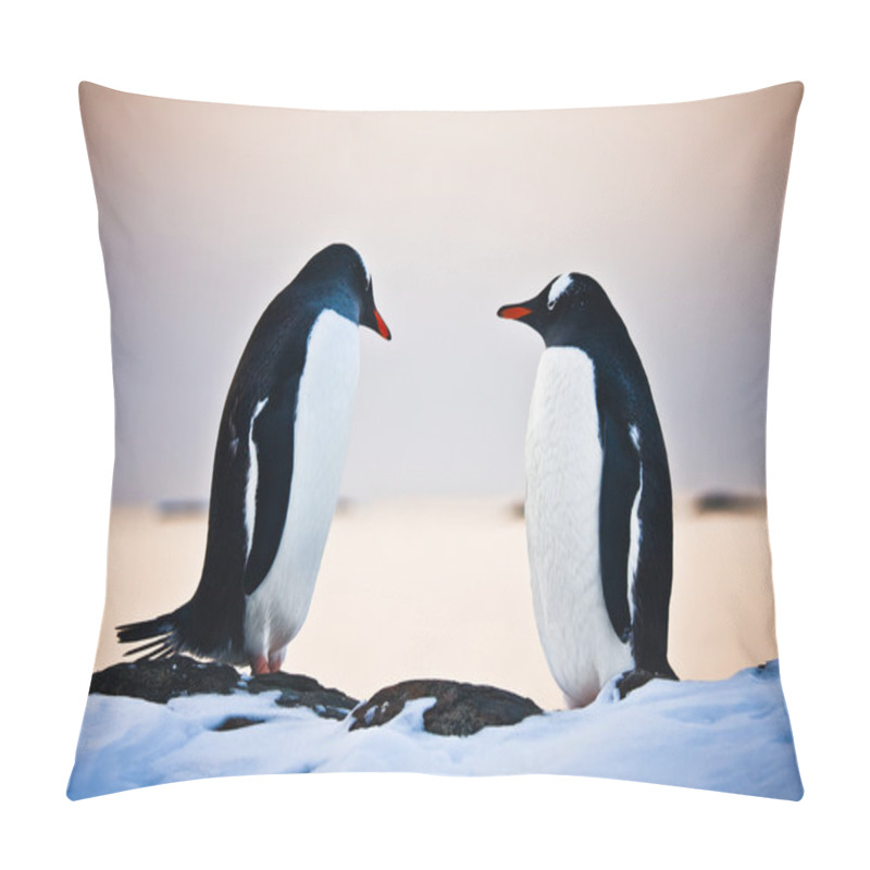 Personality  Two Identical Penguins Resting Pillow Covers