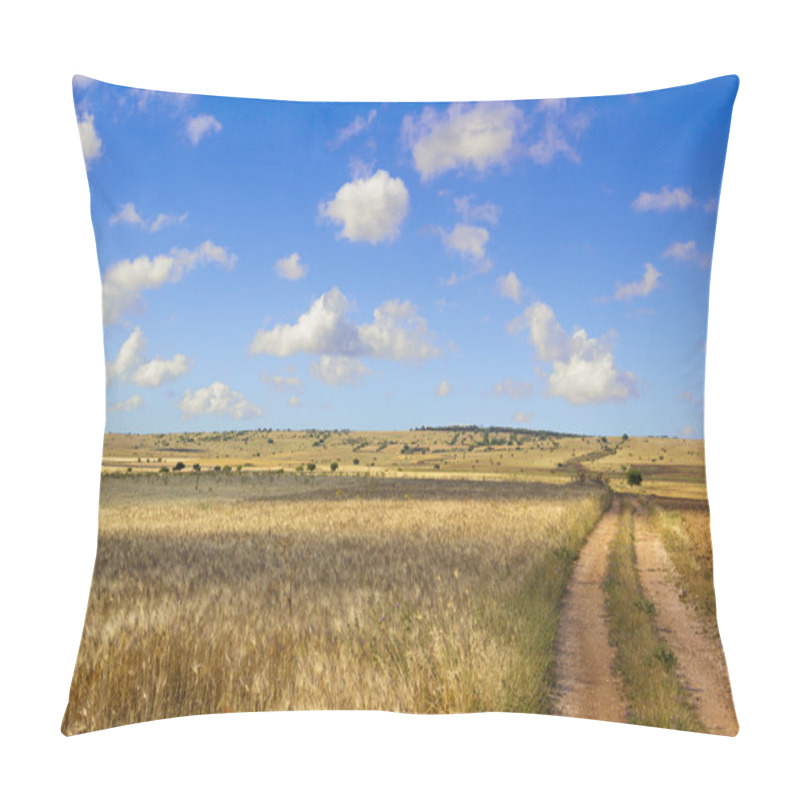 Personality  SUMMER LANDSCAPE. Alta Murgia Nationa Park: Field Of Wheat. - (Apulia) ITALY- Pillow Covers