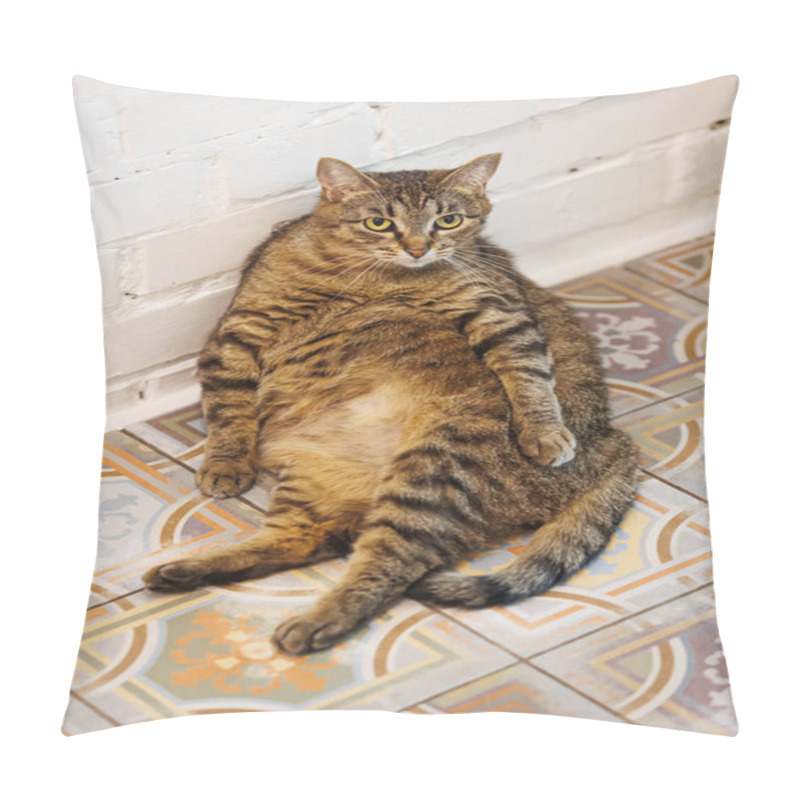 Personality  Cat Sitting Like A Human, Showcasing Its Quirky Personality And Providing A Delightful Glimpse Into Feline Behavior. Ideal For Pet Humor And Animal-themed Content. Pillow Covers