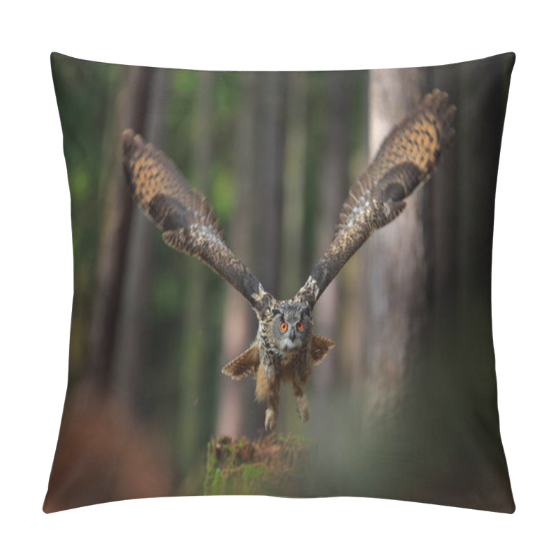 Personality  Flying Eurasian Eagle Owl  Pillow Covers