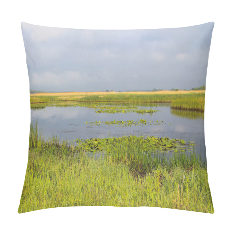 Personality  View Of A River Dnieper Pillow Covers