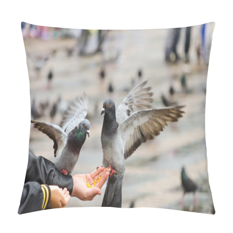 Personality  Hand Fed Pigeons Pillow Covers