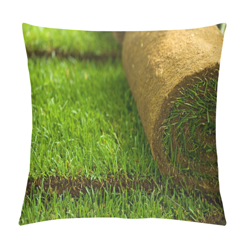 Personality  Turf Grass Rolls Closeup Pillow Covers