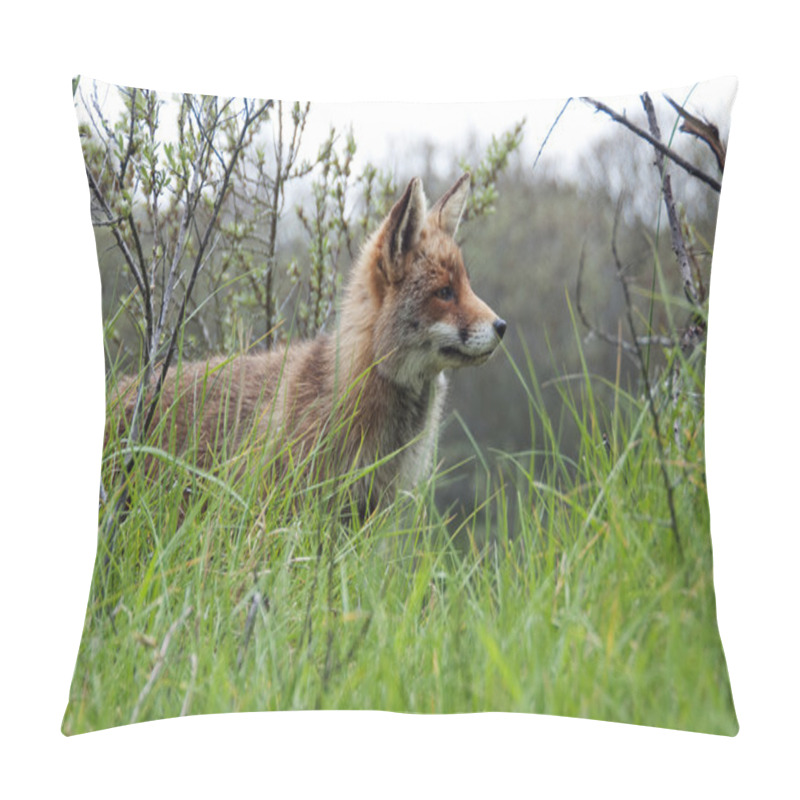 Personality  Red Wild Fox Pillow Covers