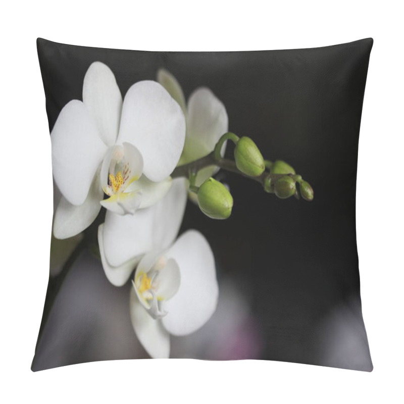 Personality  Orchid Flowers In The Garden Pillow Covers