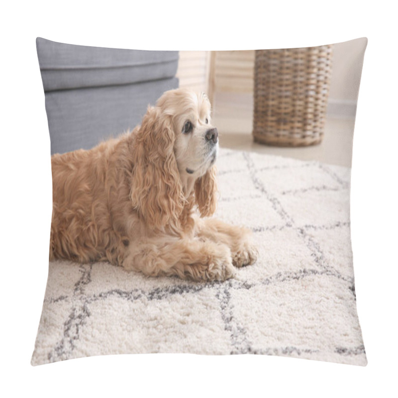 Personality  Cute Dog Near Wet Spot On Carpet Pillow Covers