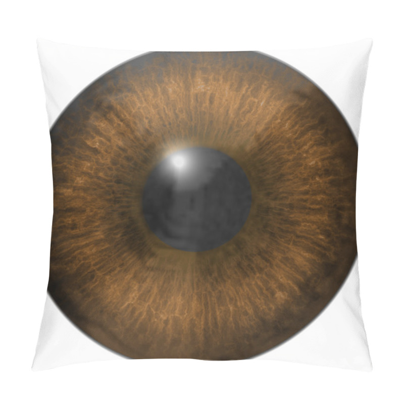 Personality  Eye Iris Generated Hires Texture Pillow Covers