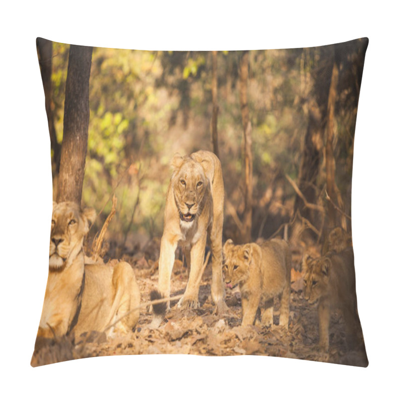 Personality  Asiatic Lion In Wild Pillow Covers