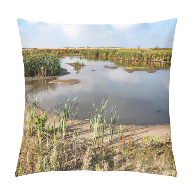 Personality  Marshland With Marsh Vegetation, Mud Flats, Shallow Pools, Creeks And Sheltered, Shallow Water On Marker Wadden Island, Netherlands Pillow Covers