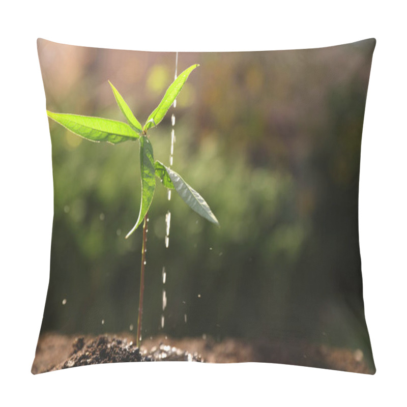 Personality  Watering Young Seedling Outdoors, Closeup. Planting Tree Pillow Covers